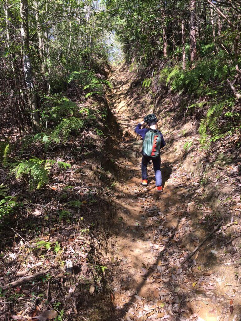 蕎麦が岳登山道