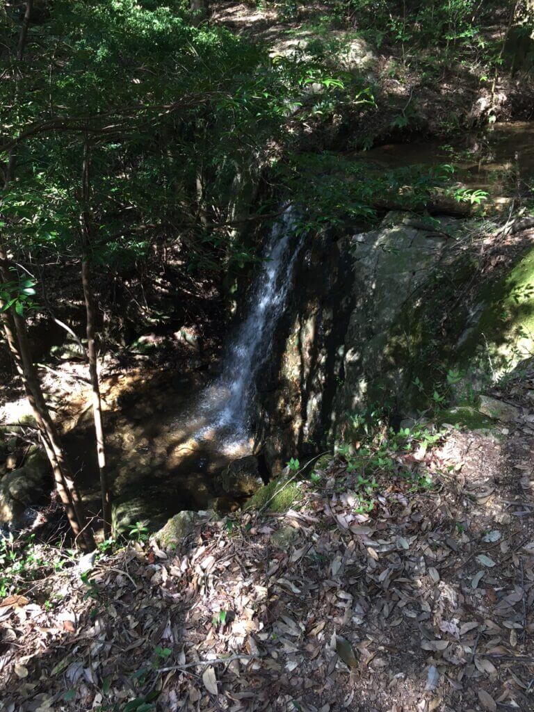 蕎麦が岳登山道２