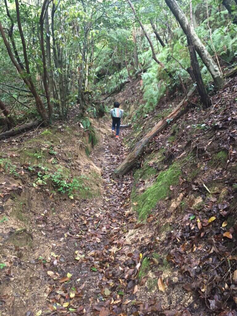 白石山登山道