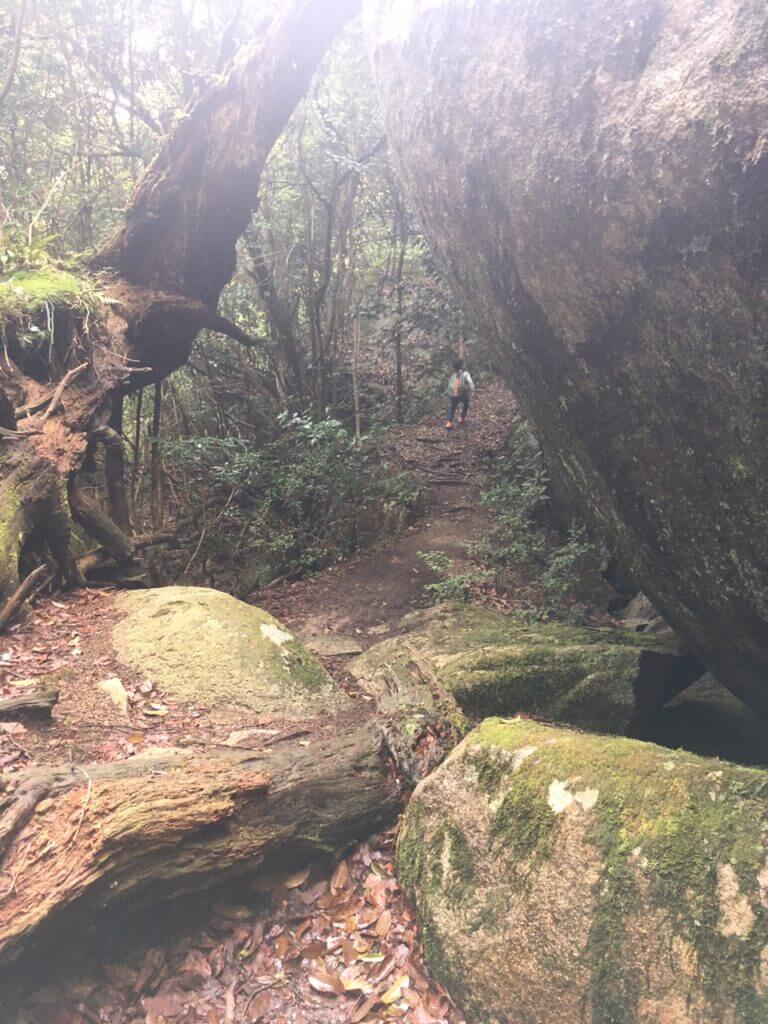 白石山龍駄の岩2